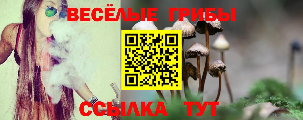 Галлюциногенные грибы MAGIC MUSHROOMS  Вход с VPN  Елец 